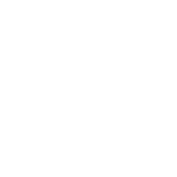 Steam